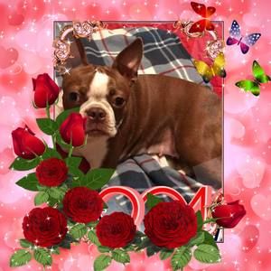 Meet your Posher, Debbie